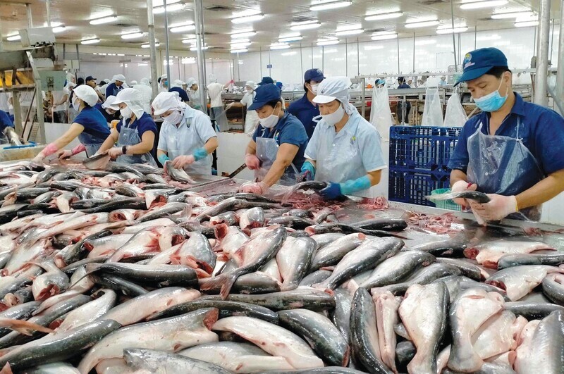 Vietnam’s seafood exports reach USD 10.38 billion in the first 11 months of 2025