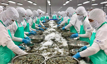 Vietnam - US seafood trade: From modest beginnings to remarkable growth