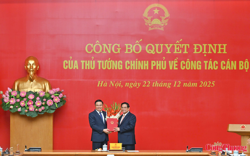 PM assigns Acting Minister of Industry and Trade to comrade Le Manh Hung