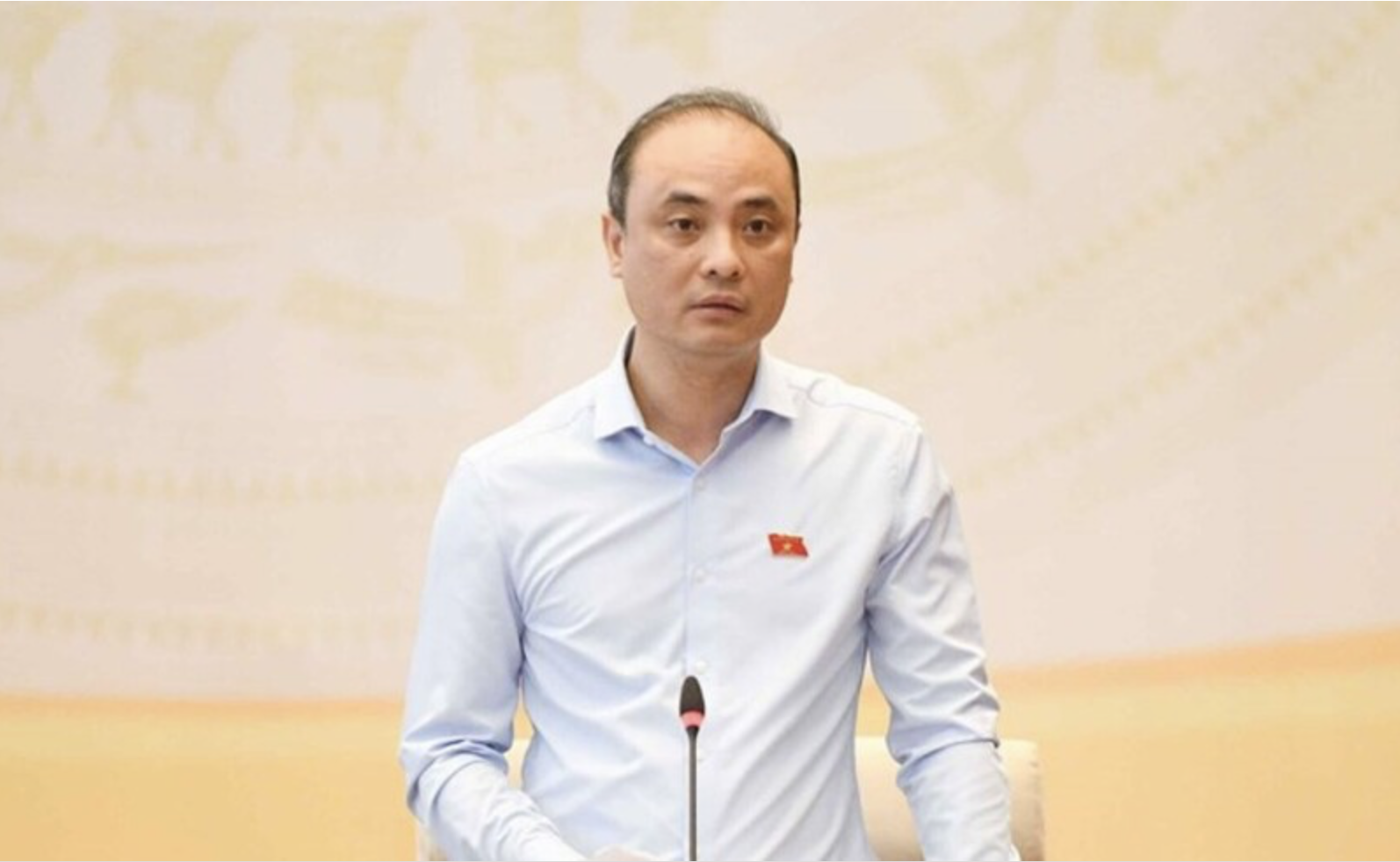 Completing energy institutional framework for green transition