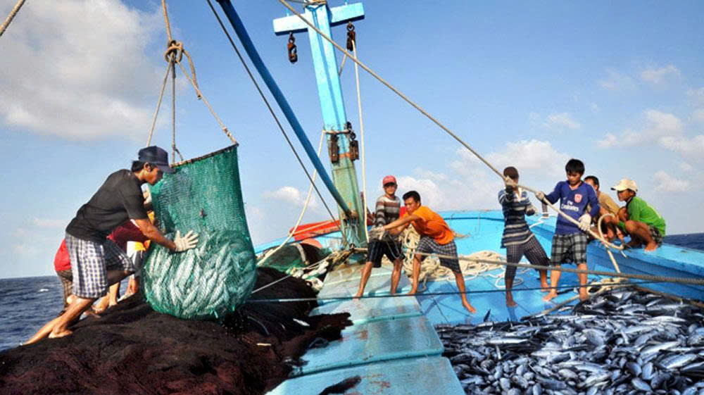 Seafood imports into Singapore surge, Vietnam ranks third