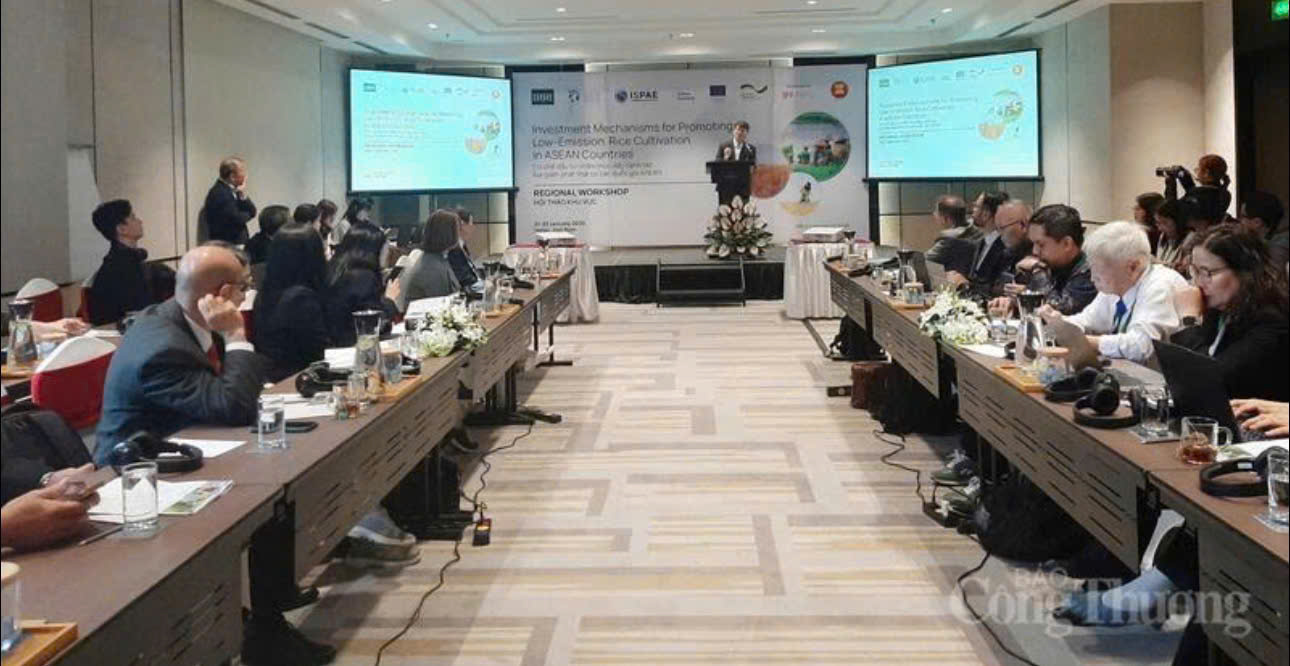 Low-emission rice key to boosting Vietnam’s export value