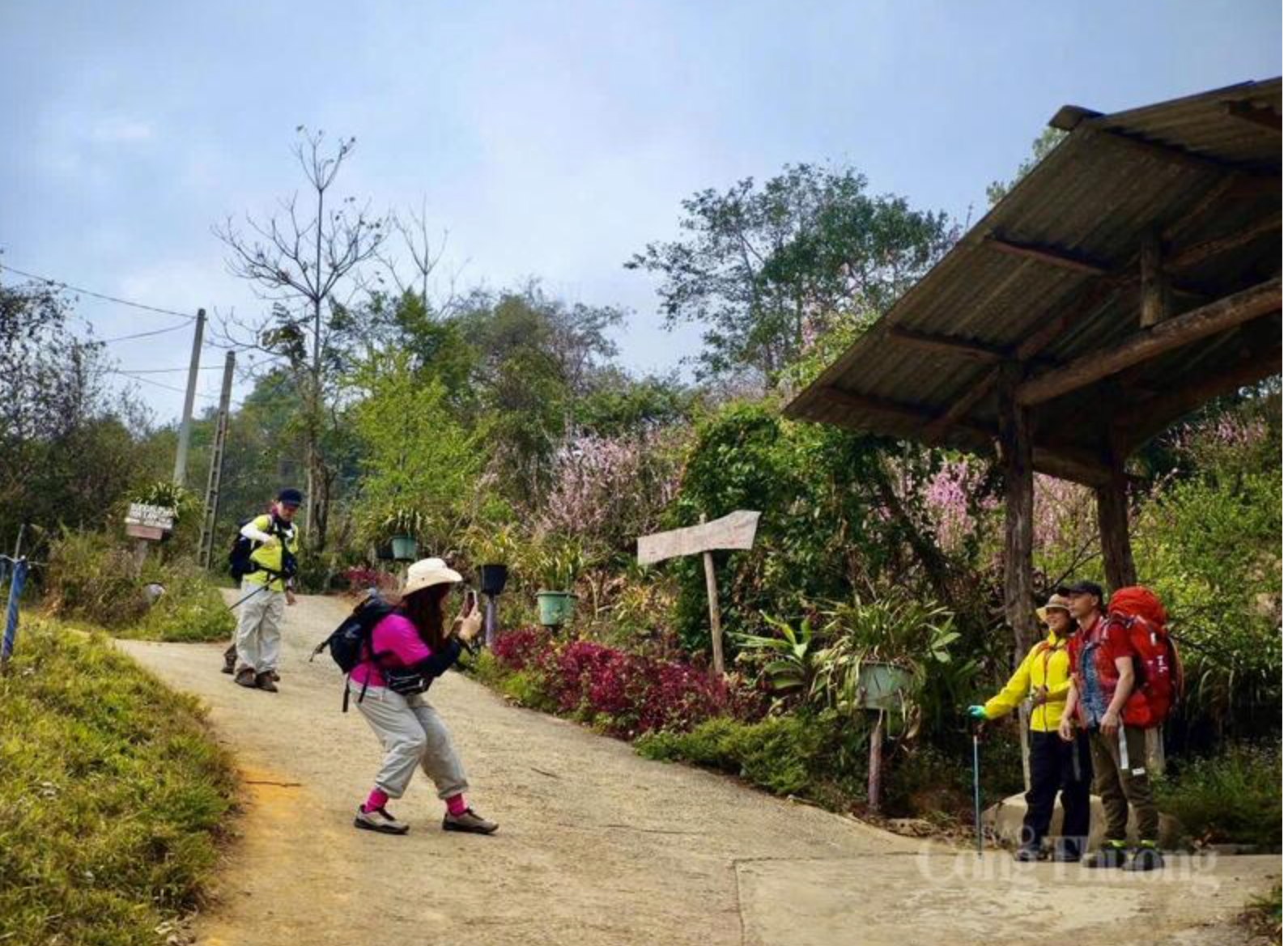 Lunar New Year 2026: Vietnamese travelers choose affordable getaways closer to home