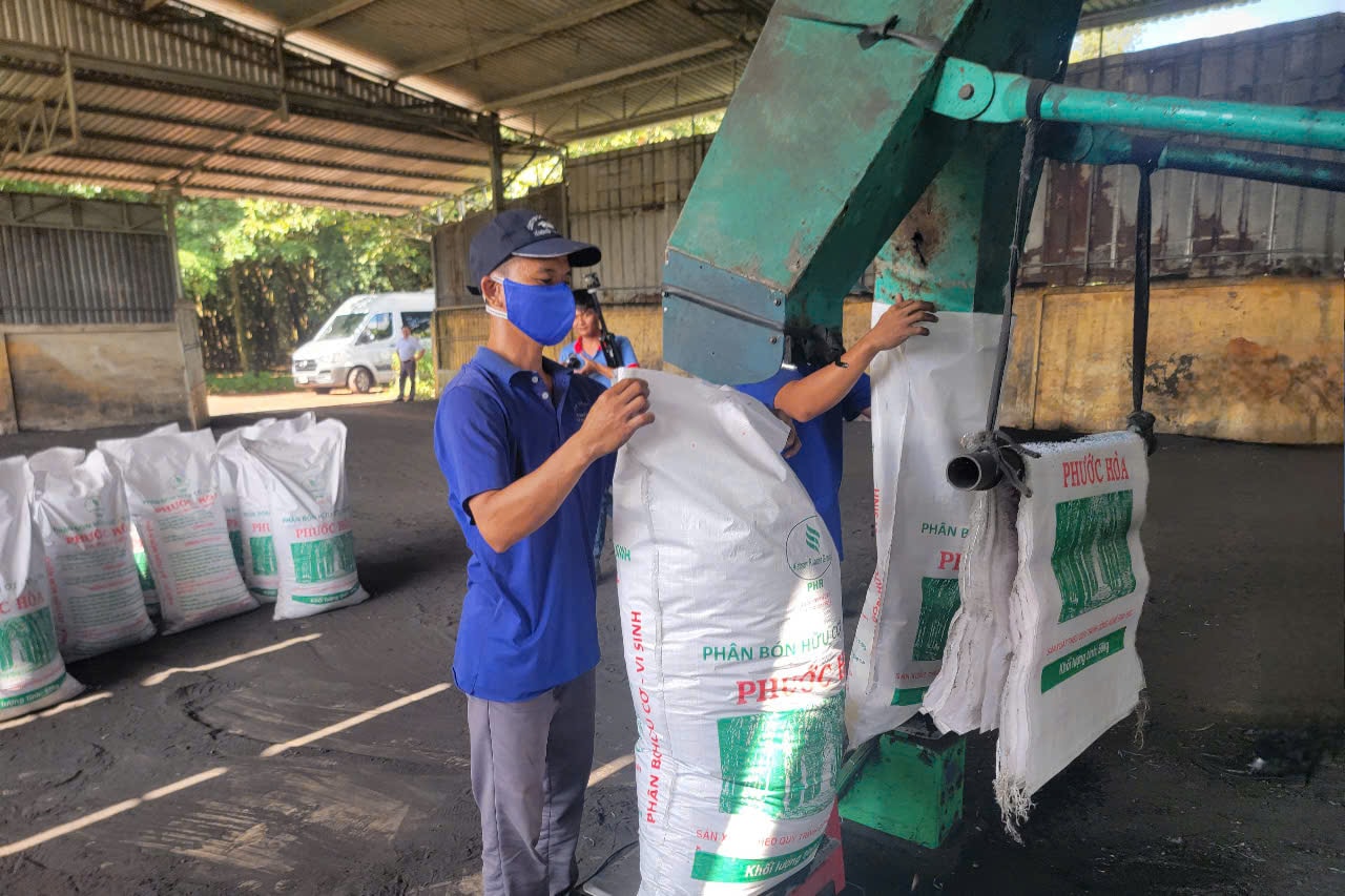 Vietnam rubber industry advances circular economy and biomass transition