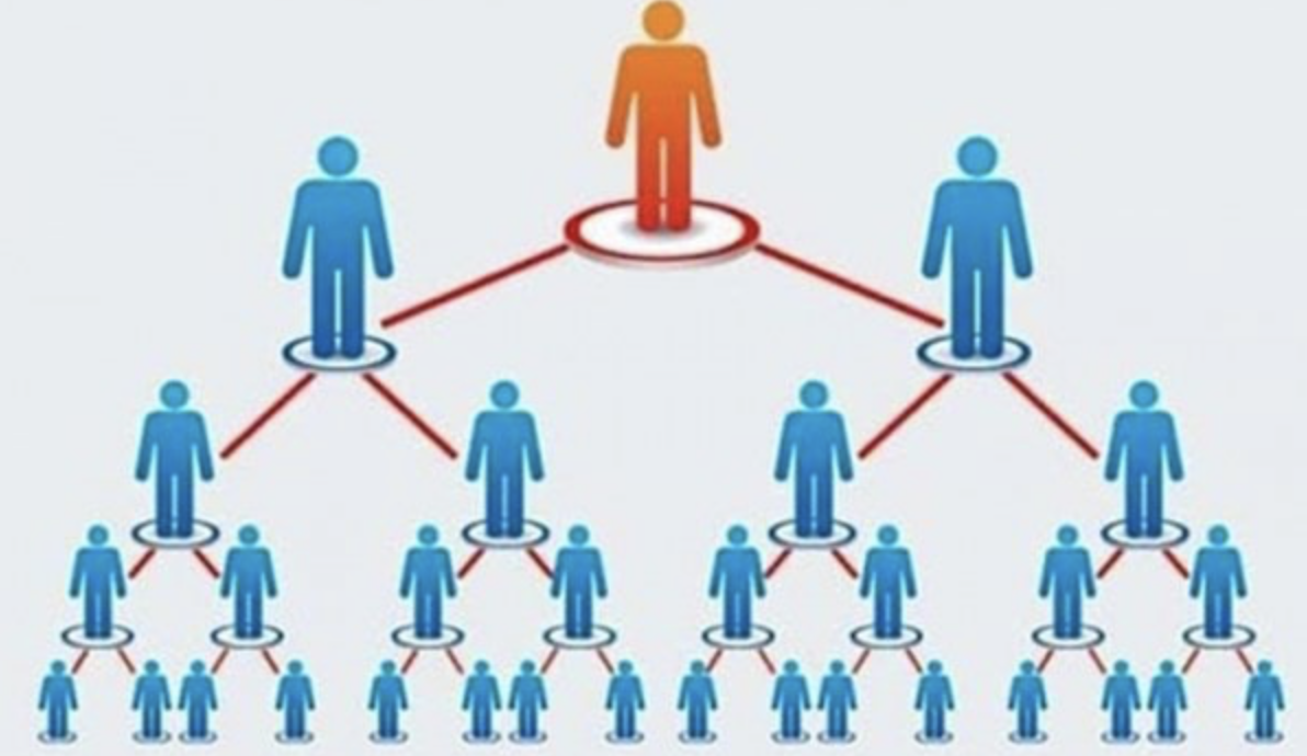 Tightened management keeps the multi-level marketing sector stable in 2025