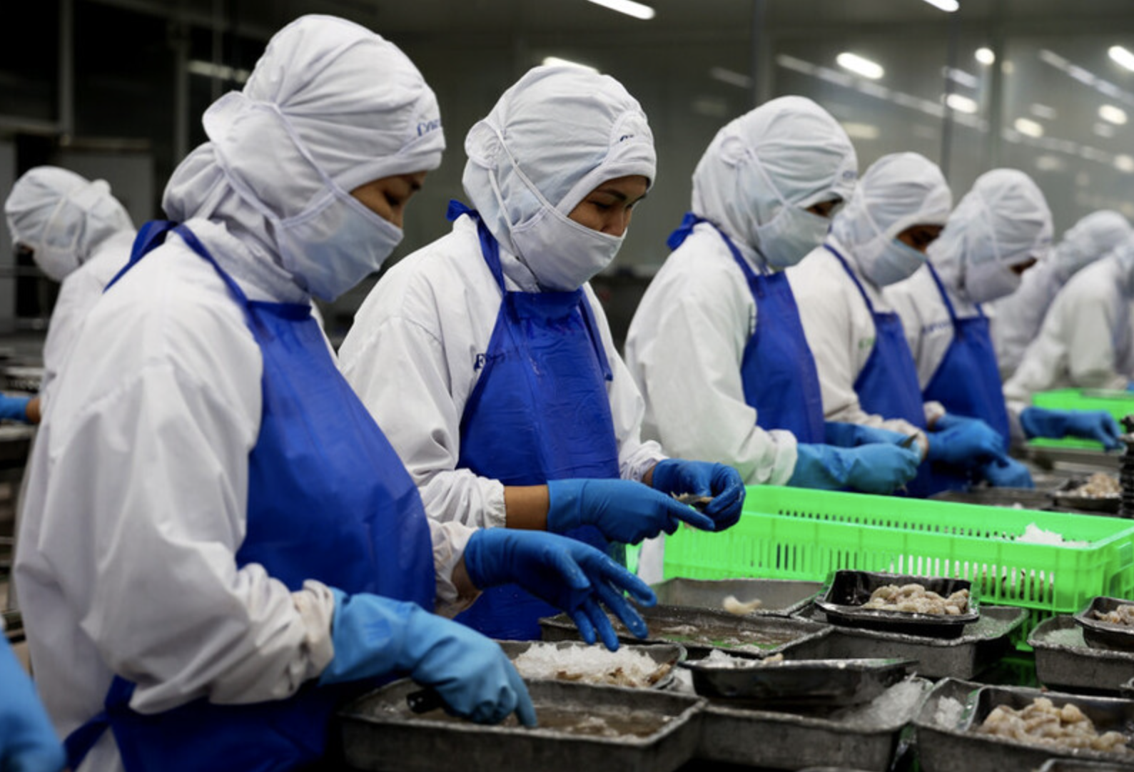 Proactively updating RCEP labeling regulations to avoid export risks