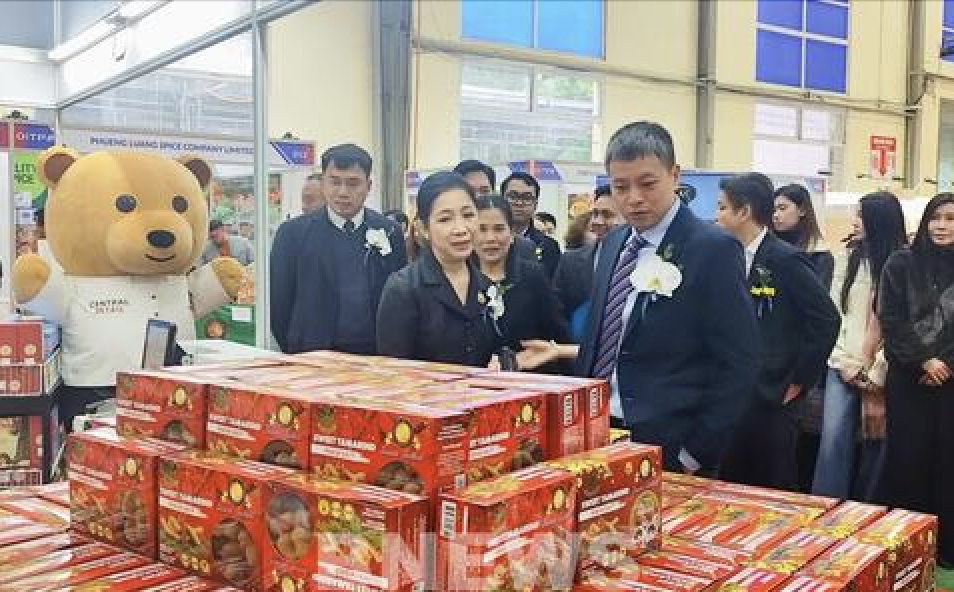 Vietnam, Thailand expand cooperation in trade, investment and green energy
