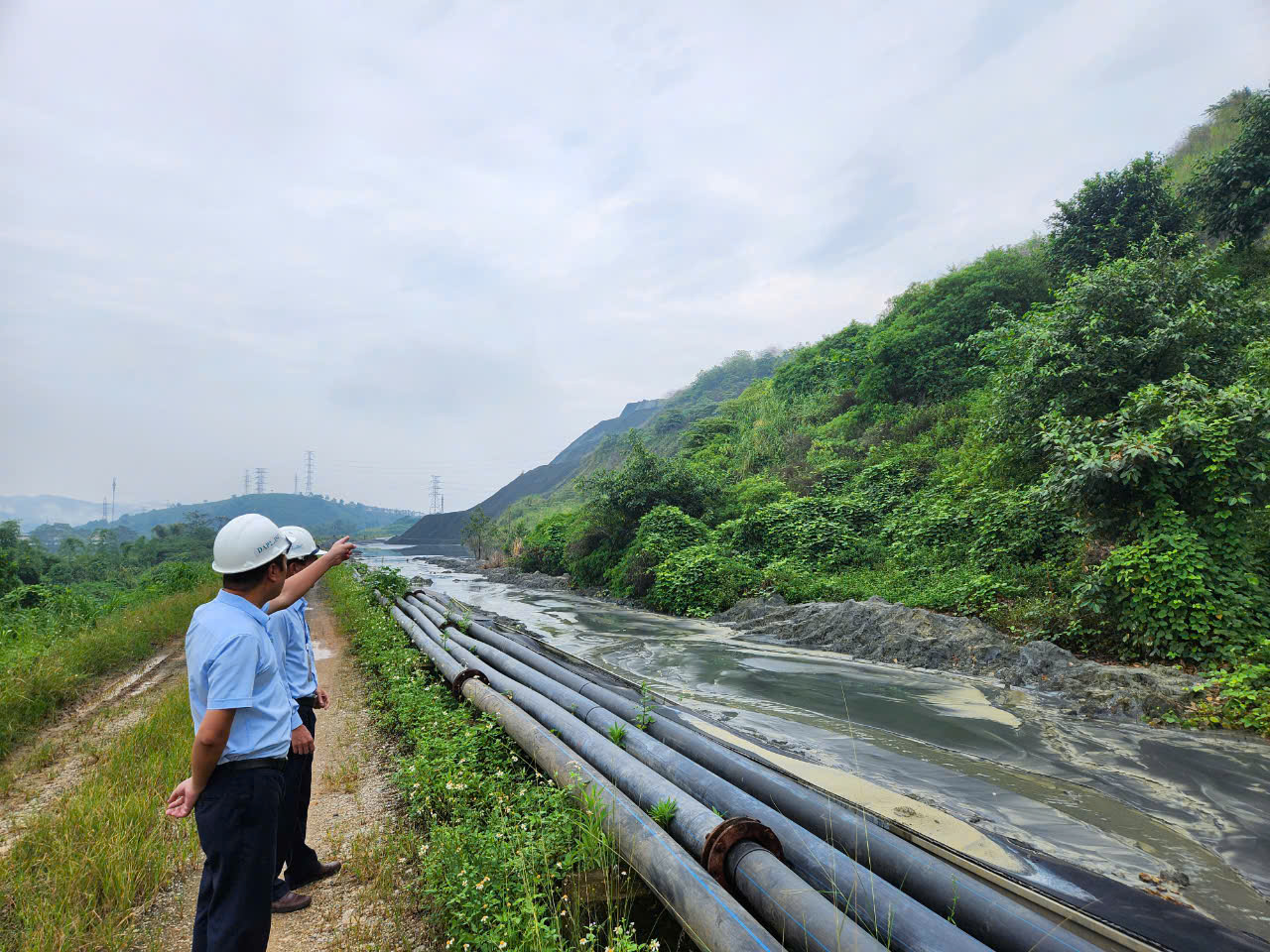 Directive 20 opens pathways for developing environmental industry