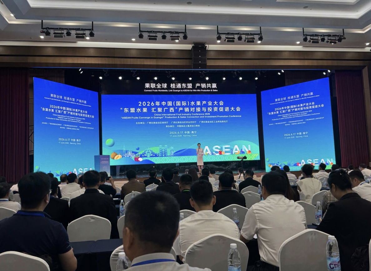 Vietnamese fruit exporters expand trade and partnership opportunities in China