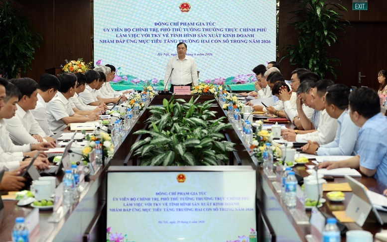 Standing Deputy Prime Minister holds talks with TKV on driving double-digit growth