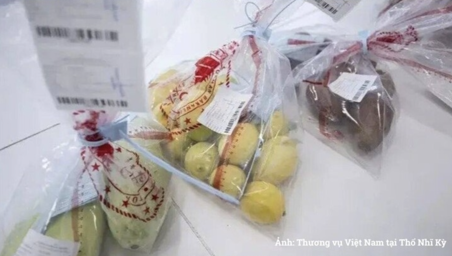 Additional authority added to Turkey’s list of agencies conducting import inspections