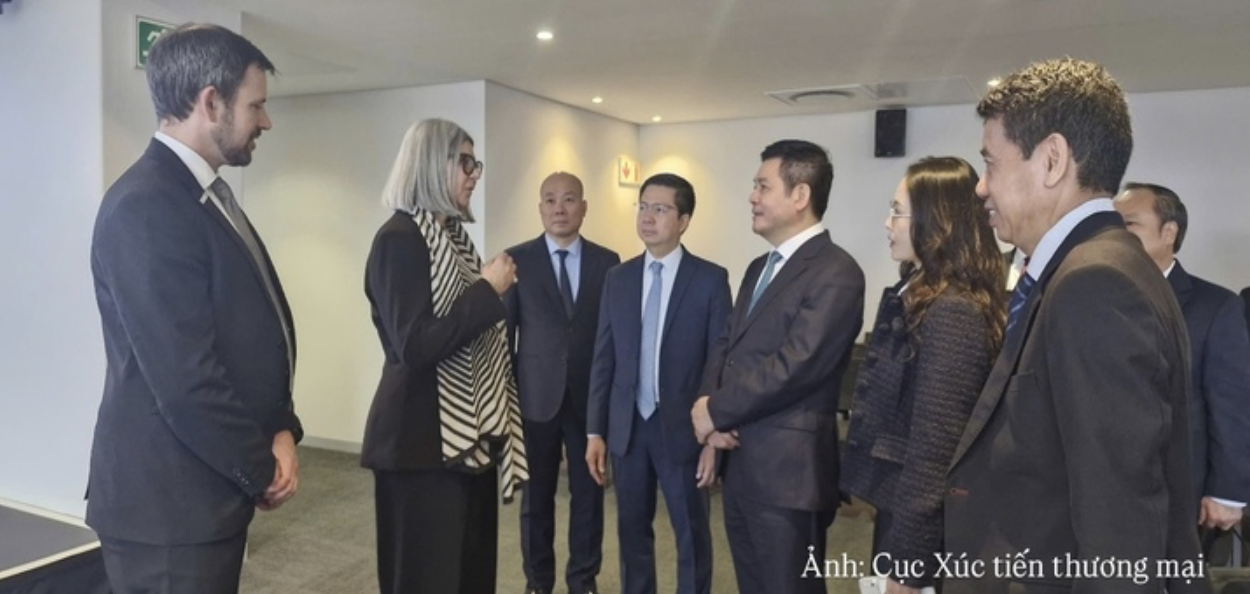 Viet Nam, South Africa expand room for economic cooperation    
