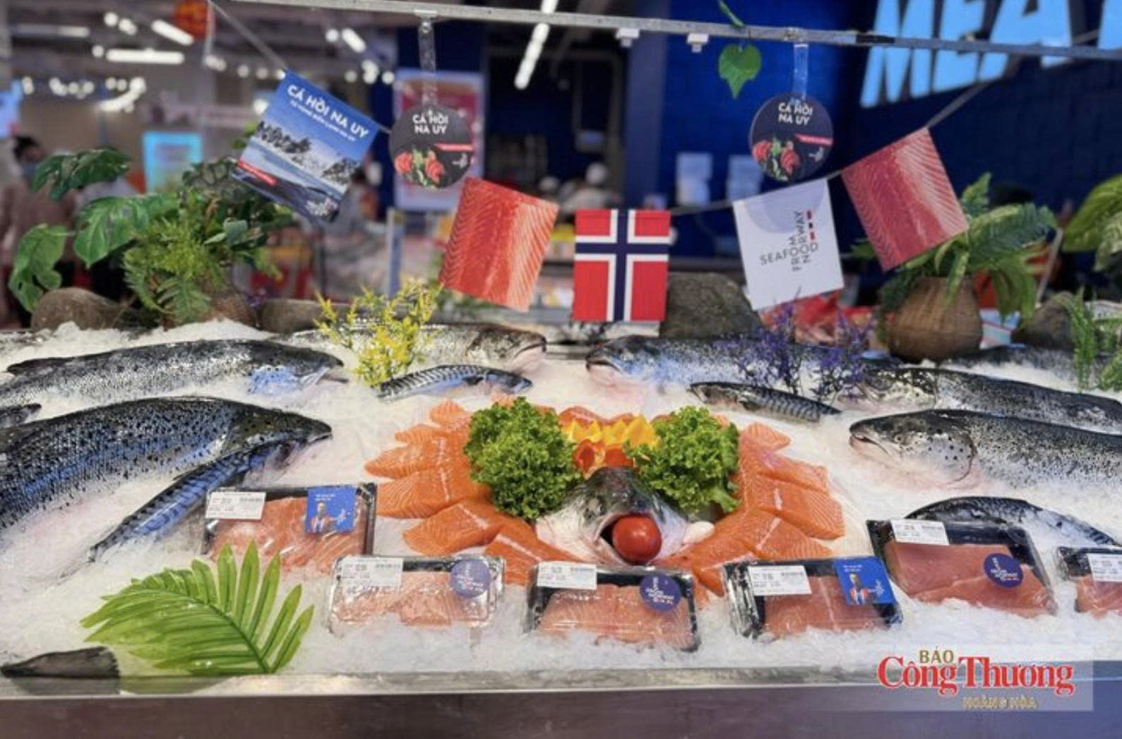 Vietnamese seafood set to benefit from new opportunities under Viet Nam – EFTA FTA