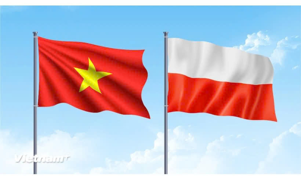 Viet Nam - Poland trade turnover maintains growth momentum